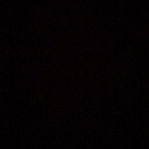 Meet your Posher, Phillip